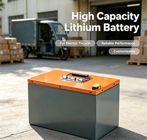 Batterie LiFePO4 à alimentation directe d'usine, 3000 cycles, longue durée de vie, garantie de 2 ans, batterie au phosphate de fer et de lithium - Product Image 6