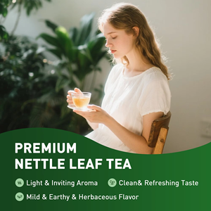 Sachets de thé aux feuilles de marron, prêts à l'emploi (OEM/ODM), sans caféine, sans gluten, naturels, végétaliens, sans OGM, pour le bien-être général - Product Image 2