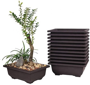 Fournitures de jardin <span class=keywords><strong>pas</strong></span> <span class=keywords><strong>cher</strong></span> Macetas Para Bonsai Rectangle 11 "Bonsai Pot de fleur 29cm <span class=keywords><strong>Grand</strong></span> Bonsai Pot - Product Image 1