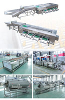 Industriële Citroenwasmachine | Sorteer-En Verpakkingslijn Voor Citrusvruchten | Sorteerapparatuur Voor Vers Fruit