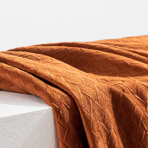 Dutch Velvet Light Luxury Velvet Texture Series Cortinas de tela de terciopelo para sombrear en el dormitorio y la sala de estar <span class=keywords><strong>XS</strong></span>. - Product Image 3
