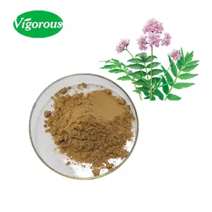 Sampel organik ekstrak akar Valerian/ekstrak Valeriana officinalis/ekstrak Valerian