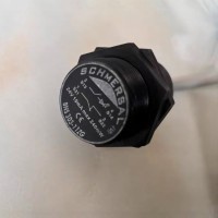 Penjualan Panas Sensor Keamanan Magnetik Non-Kontak Schmersal BNS 303-11ZG BNS 33-12Z-2187 BNS 33-11ZG Saklar Keamanan Asli