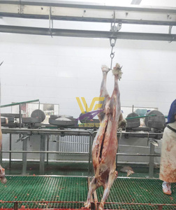 Nhà máy chất lượng cừu dê Lò mổ thịt cừu Máy chế biến cho thiết bị giết mổ - Product Image 3