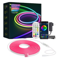 Bandes lumineuses LED néon intelligentes RGB 12V, étanches, flexibles, avec application Tuya WiFi pour le contrôle vocal Alexa