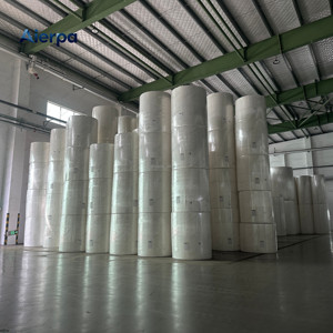 Rotolo Jumbo <span class=keywords><strong>di</strong></span> <span class=keywords><strong>Carta</strong></span> Igienica a 2 Veli, Materiali Grezzi <span class=keywords><strong>di</strong></span> Alta Qualità, Asciugamani <span class=keywords><strong>di</strong></span> <span class=keywords><strong>Carta</strong></span>, Rotolo Madre per Tovaglioli - Produttore OEM Cinese Più Economico - Product Image 6