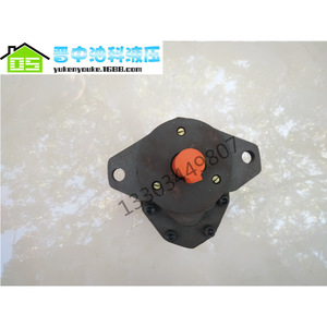 Pompe à engrenages hydraulique Yuci CB-FD31.5-FL à déplacement fixe, entraînement électrique - Product Image 1