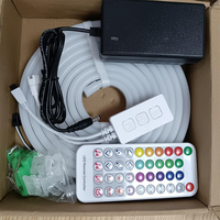 Bande lumineuse LED flexible et colorée, avec télécommande intelligente, bande lumineuse néon, tube décoratif d'ambiance en silicone pour intérieur