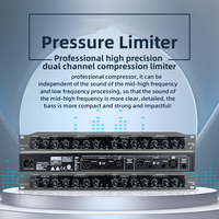 BHA 26 Compresseur/Limiteur Audio Professionnel Double Canal, Suppresseur de Bruit, Processeur Dynamique 1U Montable en Rack pour Son de Scène et Karaoké