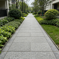 Carreaux de sol en porcelaine antidérapants modernes pour extérieur, certifiés CE, garantie 5 ans, résistants aux intempéries, pour jardin et patio