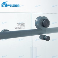 Weisdon Cabine de douche OEM ODM noir mat Porte de douche coulissante simple en acier inoxydable sans cadre en verre