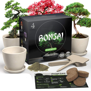 Cadeau <span class=keywords><strong>de</strong></span> noël bricolage adulte enfant artisanat pousse <span class=keywords><strong>intérieur</strong></span> 4 germes Types germer cadeaux Kit <span class=keywords><strong>de</strong></span> <span class=keywords><strong>d</strong></span>émarrage bonsaï - Product Image 2