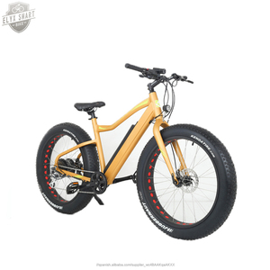 ELYX 2020 nuevo directo fábrica deportivo montaña bicicleta eléctrica Bafang 26 <span class=keywords><strong>biciclet</strong></span> abici eléctrica bicicleta de montaña - Product Image 4