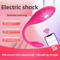 Ferngesteuerter Vibrator für App-Steuerung Kabelloser Fernbedienungs-Vibrator für Frauen Tragbares Flirt-Vibrator SM-Spielzeug Leiser Elektrischer Vibrator