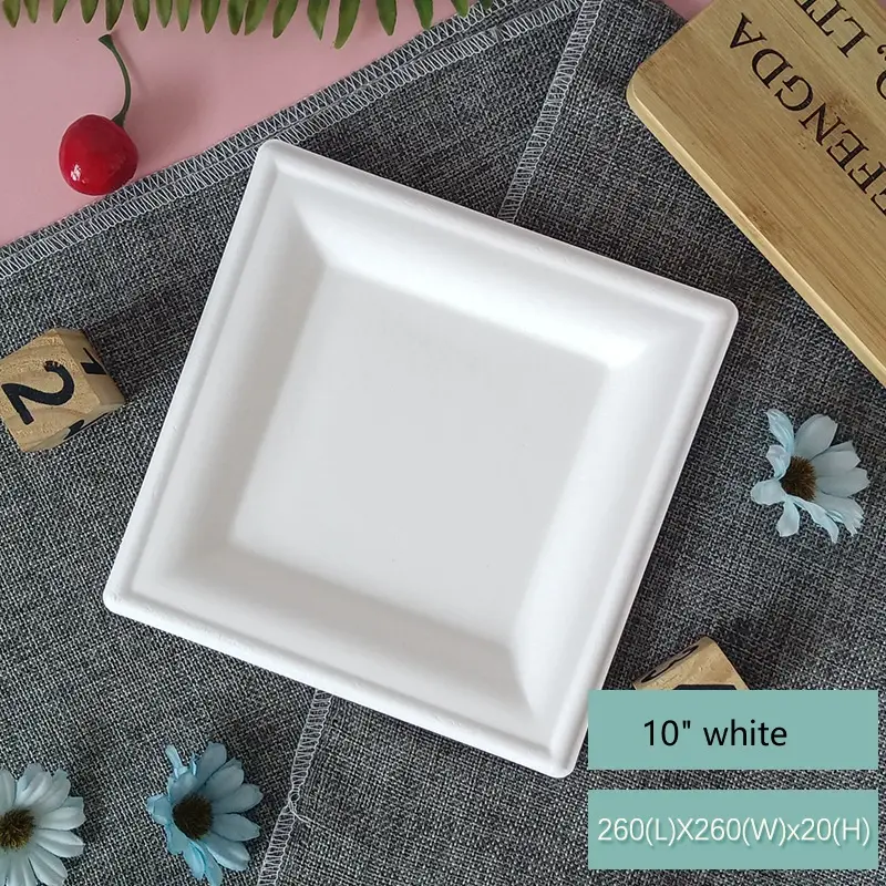 Disposable Dinner Plate Square Plate Paper Wholesale Barbecue Picnic Handmade Painting Tray 10 Inch Bagasse Party Choice
