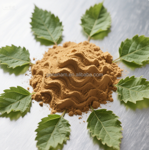 食品グレード1% DNJ白桑の葉エキス粉末バルク注文割引迅速配送ドラムまたはボトル入り - Product Image 3