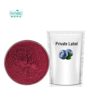 Faitury Wholesale Natural Fruit Powder HPLC Blueberry Fruit Extract Anthocyanin Bilberry Extract Powder