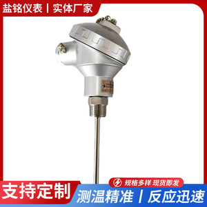 Wzpb 231 Wzpk 236 Temperature Sensor 4 20ma Threaded For Heating System - Product Image 5