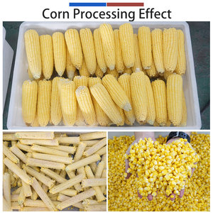 Chaîne de traitement des grains de maïs : Machine de décorticage, blanchiment et séchage à air pour maïs doux, conception industrielle - Product Image 2
