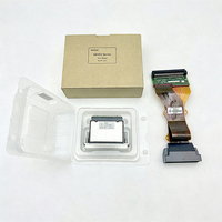 Cabezal de Impresión Original Japonés para Impresora UV Plana Industrial Ricoh Gen6 MH5320 MH5340 G6 Serie MH53