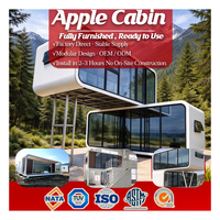 Conteneur de bureau modulaire de luxe de 20 ou 40 pieds, maisonnette préfabriquée portable, mini-cabane