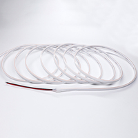 Fabrication en gros de bande lumineuse néon COB 480 LED 5 mm DC24V Ra90, étanche IP67 pour extérieur, éclairage décoratif paysager