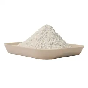 Wholesale Food Additives Raw Materials Natural Calcium Carbonate Powder CAS 471-34-1 Calcium Carbonate