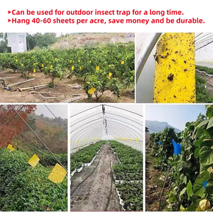 Trampa Adhesiva <span class=keywords><strong>para</strong></span> Insectos Voladores de Doble Cara <span class=keywords><strong>para</strong></span> Interiores, Exteriores, Granjas, Jardines, Invernaderos y Huertos - Product Image 4
