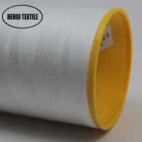 Fil à broder en polyester 60/2 haute ténacité aux couleurs personnalisées pour les machines à grande vitesse pour le tricot à la main et la broderie par ordinateur