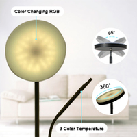 Lampadaire intelligent RGB à intensité variable, coloré, sur pied, double éclairage, compatible Alexa et Google Home pour salon, chambre et maison