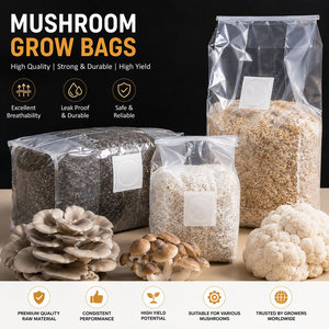Sacs de culture de champignons Enoki autoclavables, sacs de colonisation de mycélium en PP transparent haute clarté - Product Image 5