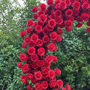Decorazione all'ingrosso di fiori artificiali personalizzati in fabbrica rosa a forma di cuore arco di fiori per decorazione di sfondo di nozze - Product Image 4