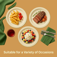 Assiettes jetables écologiques en bagasse de canne à sucre pour collations et desserts, compostables, pour fêtes 2026