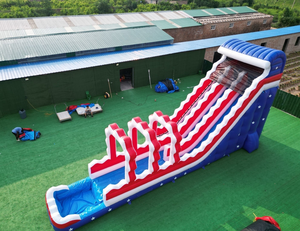 زحليقة هوائية جافة ضخمة بمسارين للتأجير - Product Image 2