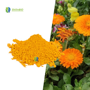 SLBIO Suministra Extracto <span class=keywords><strong>de</strong></span> Flor <span class=keywords><strong>de</strong></span> Caléndula <span class=keywords><strong>de</strong></span> Alta Calidad, Polvo <span class=keywords><strong>de</strong></span> Luteína al 5% y 20% - Product Image 2