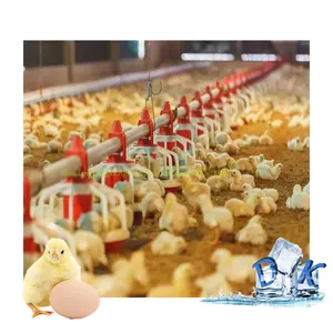 Hot sale Auto Plastic Chicken Feeder and Drinker poultry broiler drinking system and pan feeder for chicken
