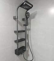Offre Spéciale système de panneau de douche à affichage numérique pour salle de bain intelligente avec douchette de massage SPA mitigeur thermostatique