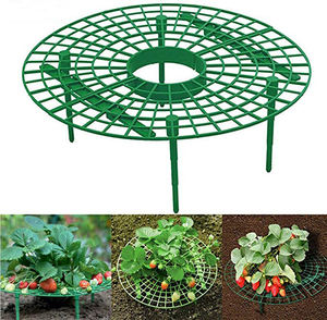 Plante grimpante pilier de vigne <span class=keywords><strong>support</strong></span> de jardin gardant les fruits soutiens élevés de fraise soutien de cercle de culture de fraise - Product Image 2