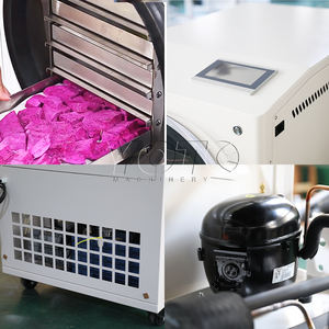 Lyophilisateur de qualité commerciale miniature pour la transformation des aliments, capacité de 25 kg, 220 V, Philippines - Product Image 5