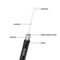 Factory Direct GYXTW Armored Fiber Cable 4-24 Core Single Mode Central Tube Steel Wire Reinforced OEM Length Available