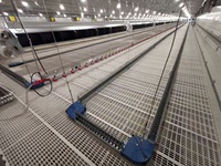 Système d'alimentation automatique pour volailles à chaîne, mangeoire à volailles à chaîne, système d'élevage au sol automatique pour poulets reproducteurs