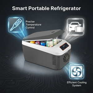 12 litres 12V 240v Portable camping boîte de refroidissement électrique voiture réfrigérateur voiture réfrigérateur - Product Image 3