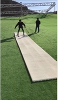 Tapis de neige artificielle toutes saisons, piste sèche, matériau PE, glissière arc-en-ciel emboîtable, 40 mm d'épaisseur, portable, 15 couleurs, utilisation en extérieur, ski