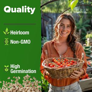 Kit de Graines de Tomate Cerise Rouge Sans OGM, Légume Ancien pour Autonomie et Auto-Suffisance, Potager Suspendu - Product Image 5