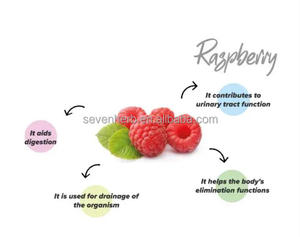 Nhà máy cung cấp giá bán buôn đóng băng khô <span class=keywords><strong>Raspberry</strong></span> bột trái cây hữu cơ <span class=keywords><strong>Raspberry</strong></span> extract bột Spay khô - Product Image 4