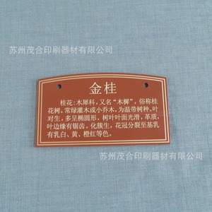 Lámina de plástico para serigrafía en PVC, diseño de logotipo personalizado, acabado de superficie para exhibición en tiendas - Product Image 5
