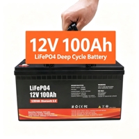 Pack de batteries au lithium LiFePO4 OEM 12V 24V 48V 100Ah 200Ah 300Ah 400Ah 600Ah avec BMS intelligent et Bluetooth pour camping-car, caravane, bateau