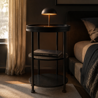 Table d'appoint en métal industriel moderne, couleur personnalisée, rangement durable, facile à nettoyer, meubles de salon pour usage domestique, table basse