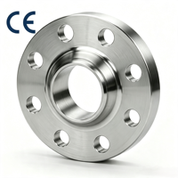 Bride à col soudé sur mesure en acier au carbone forgé en usine, conforme aux normes ASME B16.5, EN1092-1, JIS, pour conduites pétrolières et gazières, haute pression, en acier inoxydable