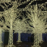 Grenzüberschreitende IP65 Wasserdichte Aluminium-LED-Motivbeleuchtung für Landschafts- und Festdekorationen, Weihnachtsbeleuchtung mit Fernbedienung und Dimmfunktion